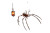 Cybernetic Spider V2 Vinyl Car Decal Sticker – Waterproof & UV-Resistant 8"