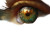 Emerald Eye Tear Vinyl Car Decal Sticker – Waterproof & UV-Resistant 8"