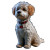 Cute Dog V18 Vinyl Car Decal Sticker – Waterproof & UV-Resistant 8"