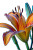 Vibrant Lily Vinyl Car Decal Sticker – Waterproof & UV-Resistant 8"