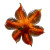 Orange Pumpkin Flower Vinyl Car Decal Sticker – Waterproof & UV-Resistant 8"