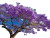 Jacaranda Tree Bloom Vinyl Car Decal Sticker – Waterproof & UV-Resistant 8"