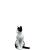 Chaotic Cat V10 Vinyl Car Decal Sticker – Waterproof & UV-Resistant 8"