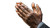 Clapping Hands Vinyl Car Decal Sticker – Waterproof & UV-Resistant 8"