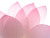 Pink Lotus Petals Vinyl Car Decal Sticker – Waterproof & UV-Resistant 8"