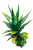 Aloe Vera Plant Vinyl Car Decal Sticker – Waterproof & UV-Resistant 8"