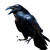 Raven With Amulet Vinyl Car Decal Sticker – Waterproof & UV-Resistant 8"