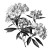 Mountain Laurel Blossom Vinyl Car Decal Sticker – Waterproof & UV-Resistant 8"