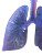 Bioprinted Lung Vinyl Car Decal Sticker – Waterproof & UV-Resistant 8"