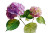 Hydrangea Watercolor Vinyl Car Decal Sticker – Waterproof & UV-Resistant 8"