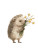 Snowy Hedgehog Bouquet Vinyl Car Decal Sticker – Waterproof & UV-Resistant 8"