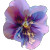 Violet Flower Vinyl Car Decal Sticker – Waterproof & UV-Resistant 8"