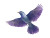 Giant Colorful Bird Vinyl Car Decal Sticker – Waterproof & UV-Resistant 8"