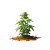 Cartoon Weed Plant Vinyl Car Decal Sticker – Waterproof & UV-Resistant 8"