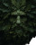Mythical Green Man Vinyl Car Decal Sticker – Waterproof & UV-Resistant 8"
