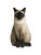 Siamese Cat Lounging Vinyl Car Decal Sticker – Waterproof & UV-Resistant 8"