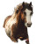 Pinto Stallion Racing Vinyl Car Decal Sticker – Waterproof & UV-Resistant 8"