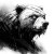Scarred Bear Sketch Vinyl Car Decal Sticker – Waterproof & UV-Resistant 8"