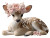 Pretty Fawn Vinyl Car Decal Sticker – Waterproof & UV-Resistant 8"