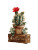 Cactus In Suitcase Vinyl Car Decal Sticker – Waterproof & UV-Resistant 8"
