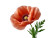 Huge Poppy Flower Vinyl Car Decal Sticker – Waterproof & UV-Resistant 8"