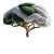 Ancient Tea Tree Vinyl Car Decal Sticker – Waterproof & UV-Resistant 8"