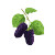 Purple Mulberry Vinyl Car Decal Sticker – Waterproof & UV-Resistant 8"