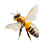 Watercolor Bee Vinyl Car Decal Sticker – Waterproof & UV-Resistant 8"