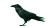 Hyper-Realistic Raven Vinyl Car Decal Sticker – Waterproof & UV-Resistant 8"