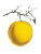 Vintage Yellow Peach Vinyl Car Decal Sticker – Waterproof & UV-Resistant 8"