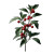 Ashwagandha Plant Vinyl Car Decal Sticker – Waterproof & UV-Resistant 8"