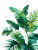 Tropical Leaves Vinyl Car Decal Sticker – Waterproof & UV-Resistant 8"