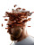 Brick To Hair Vinyl Car Decal Sticker – Waterproof & UV-Resistant 