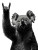 Metal Koala Vinyl Car Decal Sticker – Waterproof & UV-Resistant 8"