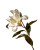 White Lily Elegance Vinyl Car Decal Sticker – Waterproof & UV-Resistant 8"