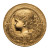 Golden Girl Coin Vinyl Car Decal Sticker – Waterproof & UV-Resistant 8"