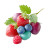 Mixed Berries Vinyl Car Decal Sticker – Waterproof & UV-Resistant 8"
