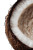 Coconut Section Vinyl Car Decal Sticker – Waterproof & UV-Resistant 8"