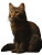 Cat In Rembrandt Light Vinyl Car Decal Sticker – Waterproof & UV-Resistant 8"