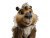 Whimsical Capybara Vinyl Car Decal Sticker – Waterproof & UV-Resistant 8"