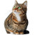 Luxurious Tabby Cat Vinyl Car Decal Sticker – Waterproof & UV-Resistant 8"