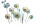 Riverside Dandelions Vinyl Car Decal Sticker – Waterproof & UV-Resistant 8"