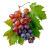 Grapes And Leaves Vinyl Car Decal Sticker – Waterproof & UV-Resistant 8"