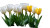 Spring Tulips Bloom Vinyl Car Decal Sticker – Waterproof & UV-Resistant 8"