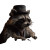 Gangster Raccoon Vinyl Car Decal Sticker – Waterproof & UV-Resistant 8"