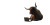 Office Bull Vinyl Car Decal Sticker – Waterproof & UV-Resistant 8"