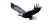 Bald Eagle Dive Vinyl Car Decal Sticker – Waterproof & UV-Resistant 8"