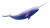Cosmic Narwhal Symphony Vinyl Car Decal Sticker – Waterproof & UV-Resistant 8"