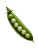 Pearl Pea Pod Vinyl Car Decal Sticker – Waterproof & UV-Resistant 8"