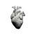 Realistic Human Heart V2 Vinyl Car Decal Sticker – Waterproof & UV-Resistant 8"